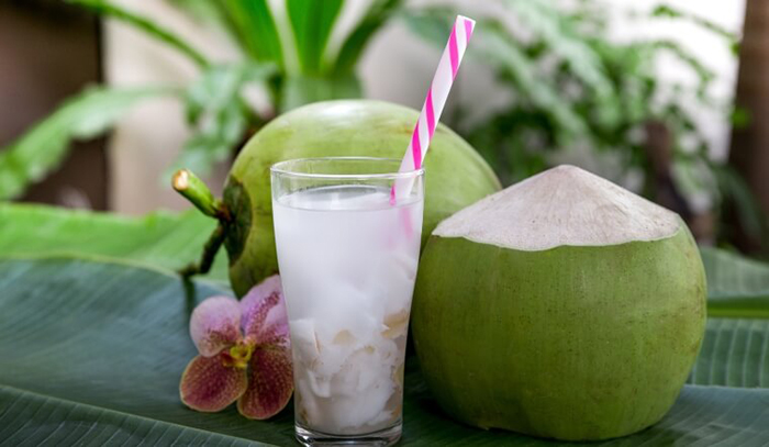 Nước dừa là một thức uống giàu chất điện giải, vitamin C, kali, glucose,… rất tốt cho người đang bị sốt.